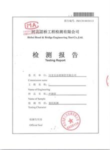 湖北公司检测报告